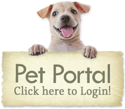 Pet Portal1
