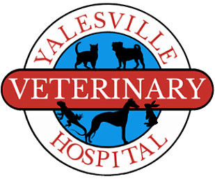 Yalesville Revised Logo 3.2024 1