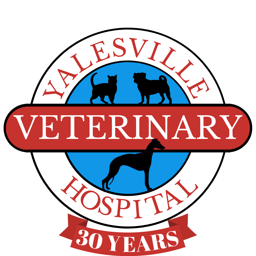 Yalesville Vet Logo