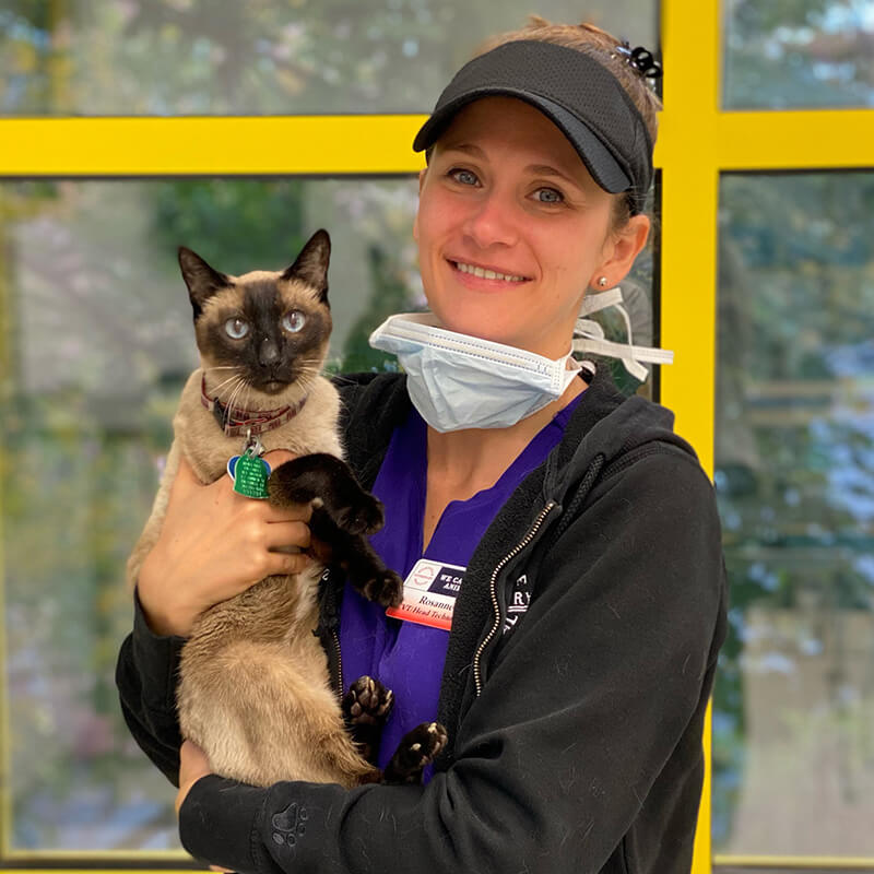 Our Veterinary Staff Yalesville Veterinary Hospital