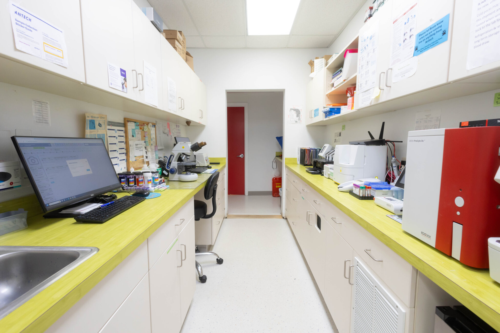 Yalesville lab with white cabinets and yellow counters