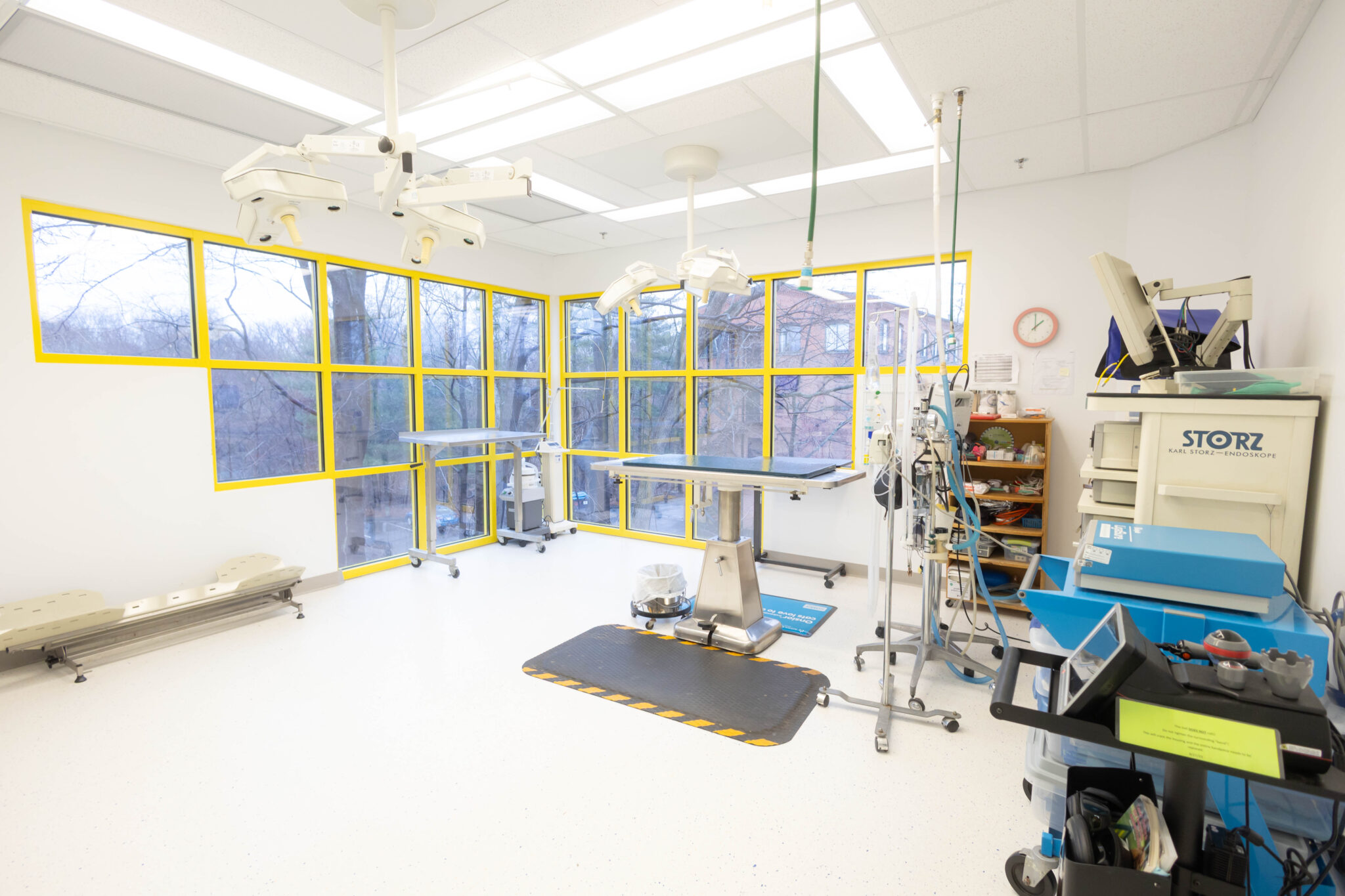 Surgery room within Yalesville Veterinary Hospital