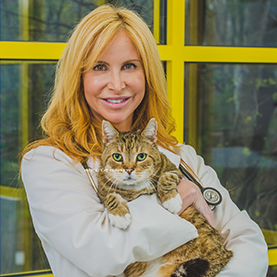 Lisa Saravis Padro DVM holding a yellow and white cat