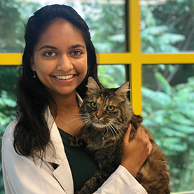 Molly Chirunomula DVM holding fluffy brown tabby cat