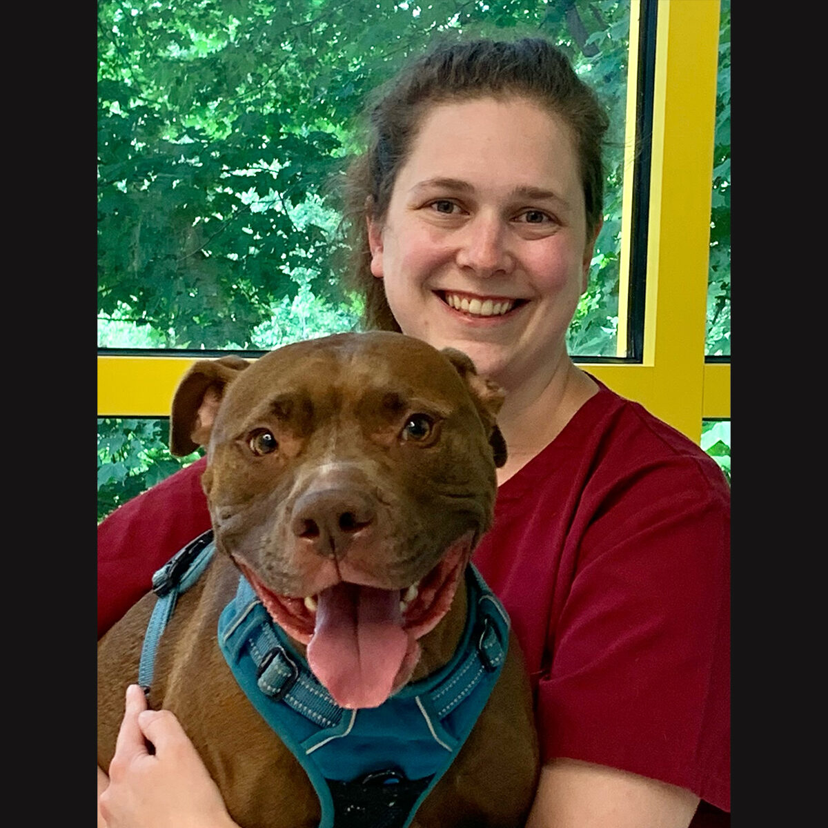 Kayla Sands DVM holding brown pitbull